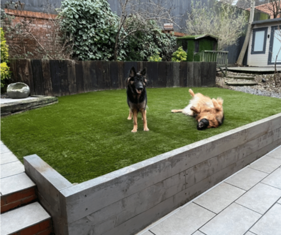 artifical grass for pets