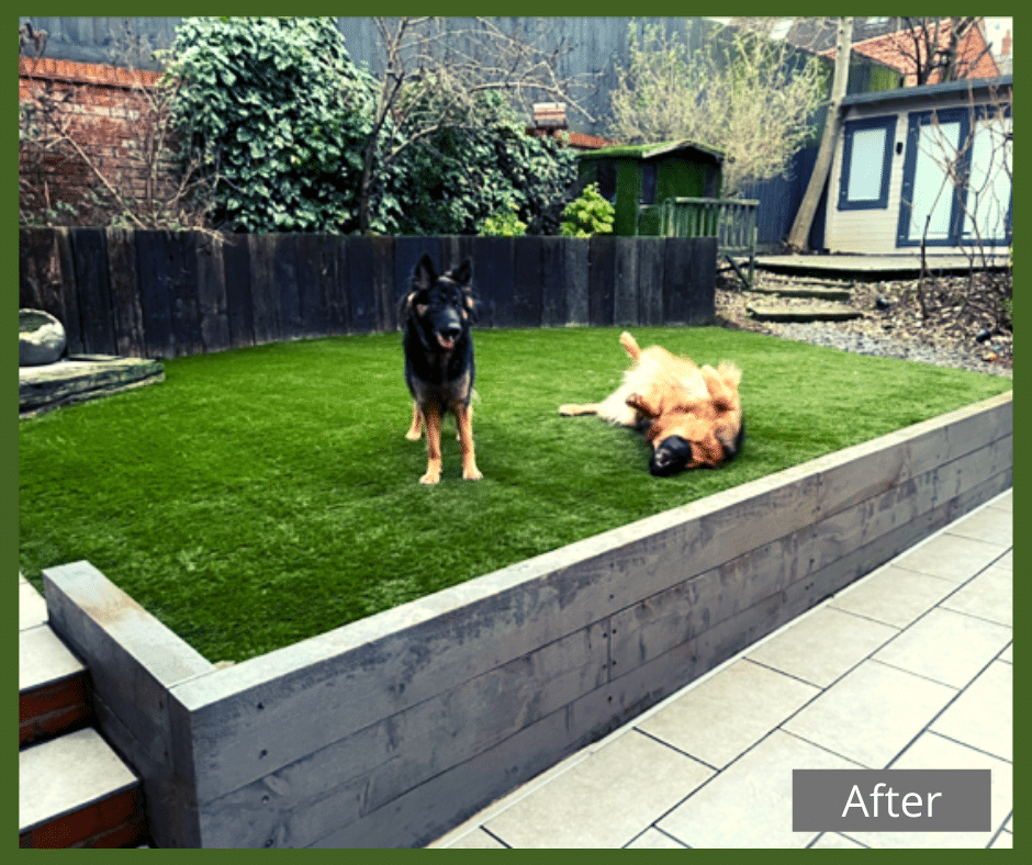 artificial grass_ after_pets
